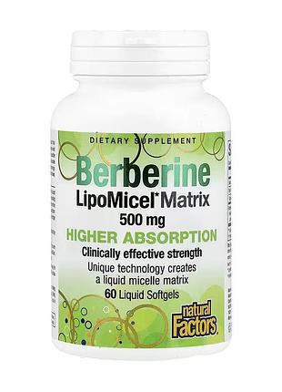 Berberine lipomicel matrix - 60 softgels