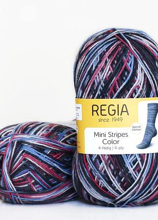 Regia color 100 г, 00386