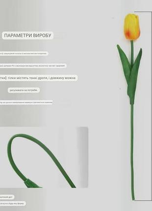 Тюльпан білий 1шт 35см 2