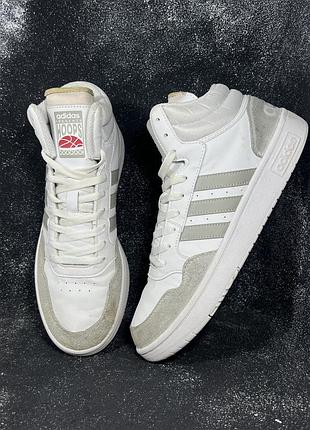 Чоловічі високі кросівки adidas hoops