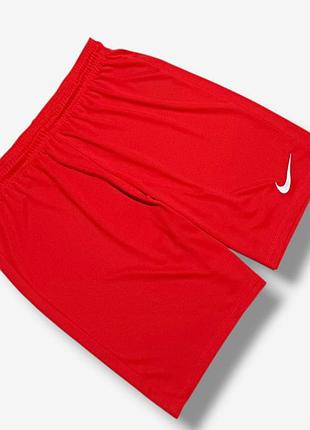 Шорти nike dri fit 2