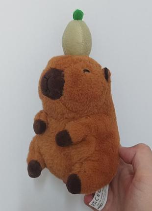 Капибара capybara