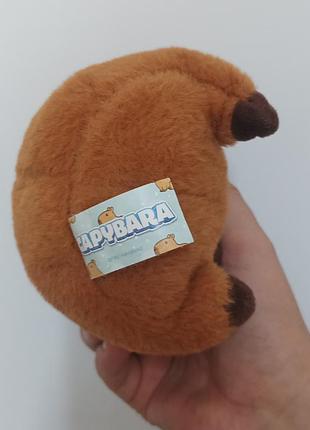 Капибара capybara 4