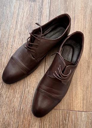 Туфлі gregory arber 2