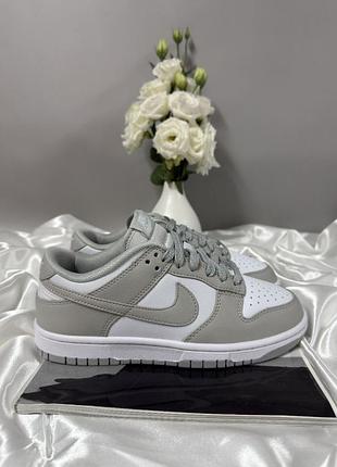 Nike sb dunk low light grey 5