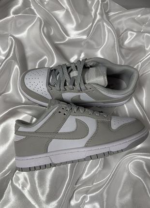 Nike sb dunk low light grey 2