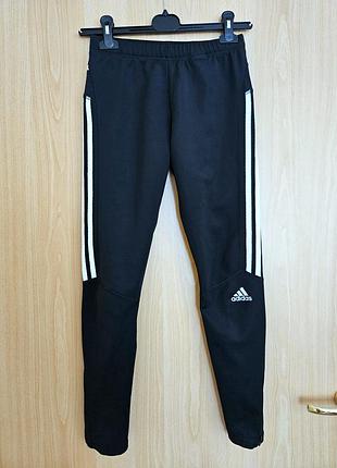 Спортивні лосіни від adidas
