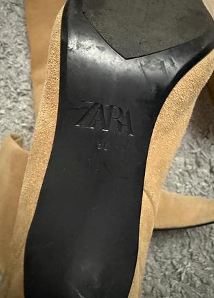 Чоботи труби zara замш 6