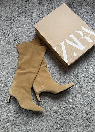 Чоботи труби zara замш 5