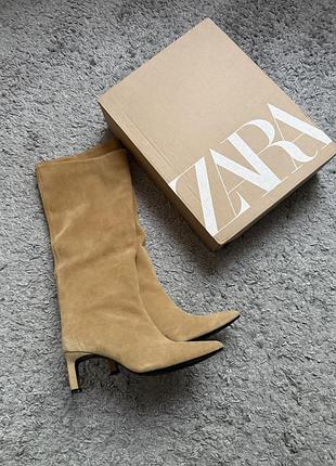 Чоботи труби zara замш 7