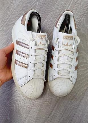 Шкіряні жіночі кросівки adidas superstar