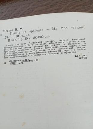 Птицы на проводах пеесков 3