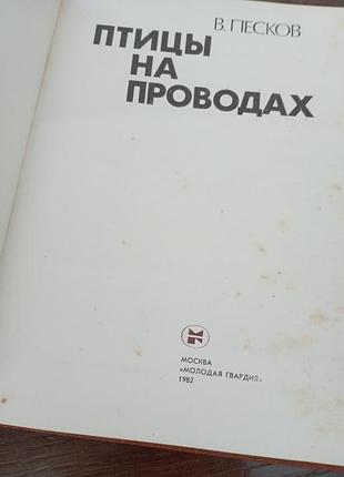 Птицы на проводах пеесков 2