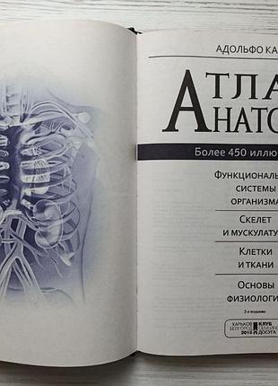 Адольфо кассан. атлас анатомии 2
