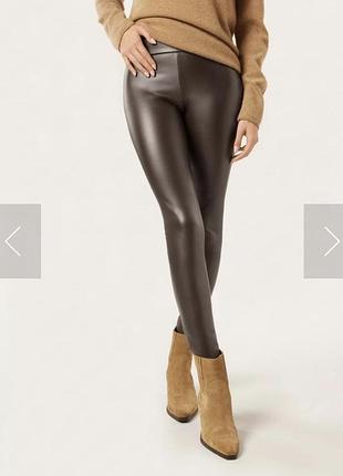 Термо/легінси/calzedonia