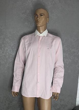 Сорочка lacoste, xl