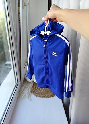 Зепка adidas кофта