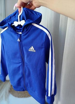 Зепка adidas кофта 2