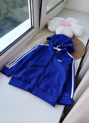 Зепка adidas кофта 4