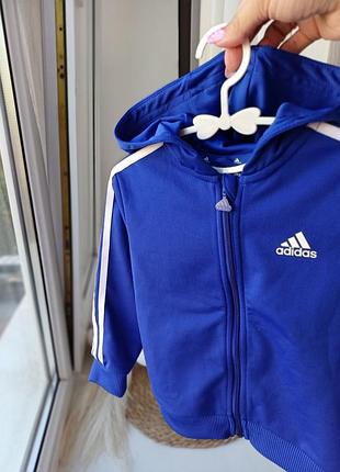 Зепка adidas кофта 3