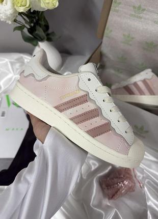 Adidas superstar cappuccino