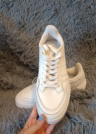 Адідаси кросіки (adidas 39) 3
