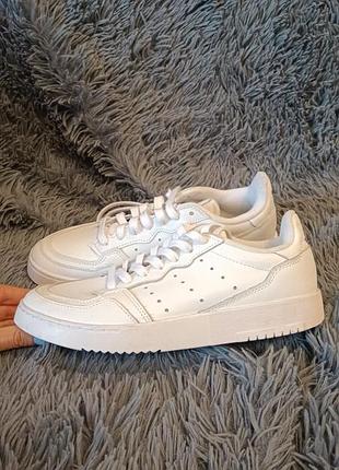 Адідаси кросіки (adidas 39) 2