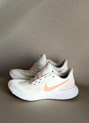 Кросівки nike revolution 5