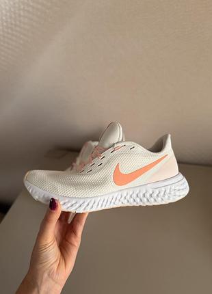 Кросівки nike revolution 5 2