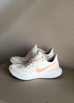 Кросівки nike revolution 5 7