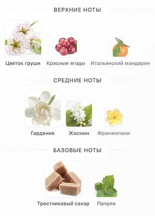 Жіночі парфуми 3