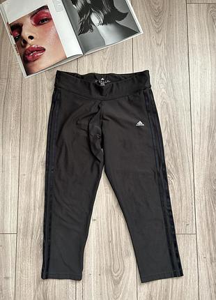 Спортивні капрі adidas climalite