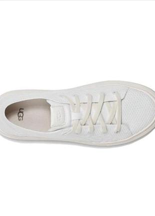 Кросівки кеди ugg 3