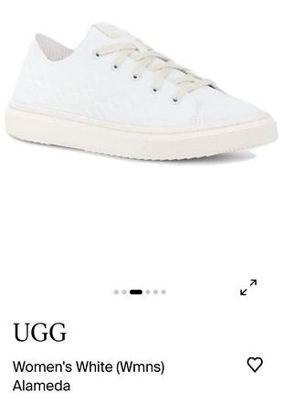 Кросівки кеди ugg 4