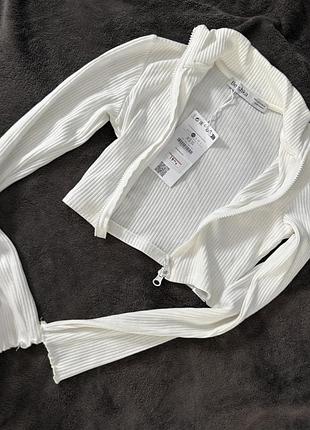 Лонгвист bershka 5