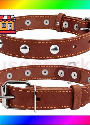 Bs ошейник "collar" одинарный best mix с украшениями (ширина 25мм, длина 38-50см) коричневый bas77/n