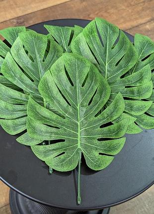 🌿 декоративный лист монстеры 3