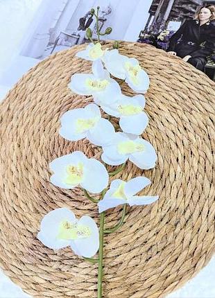 🌸 искусственная ветвь орхидеи🌸 белый 2