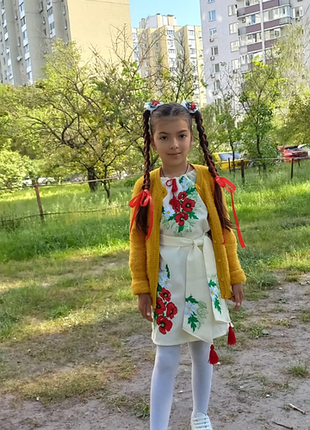 Вышитое платье 2