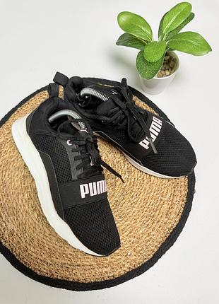 Кросівки puma жіночі