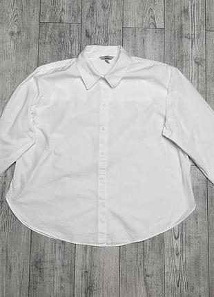 Сорочка жіноча h&m біла l бавовна