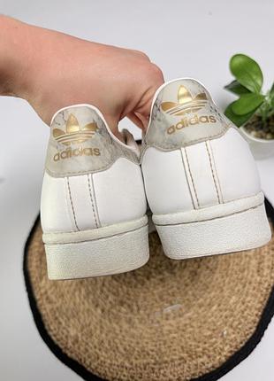 Кросівки adidas super star 10