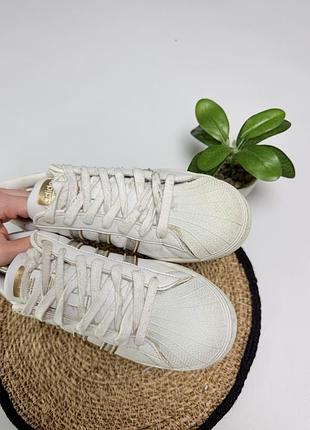 Кросівки adidas super star 3