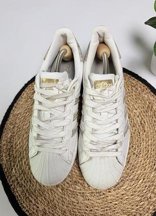Кросівки adidas super star 5