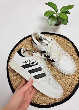 Кеди adidas білі