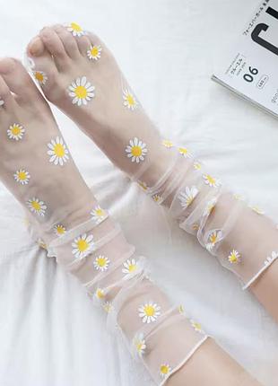 Носки с ромашками прозрачные белые🤍🌼