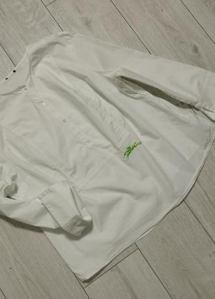 Базовая рубашка от люксового бренда longchamp 6