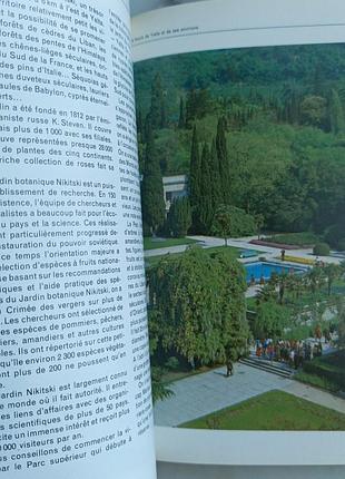 La côte sud de laa crimée 8