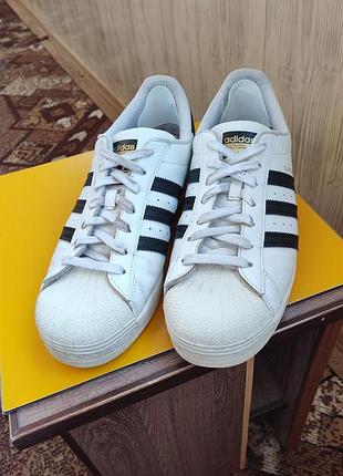 Кроссовки adidas superstar 3