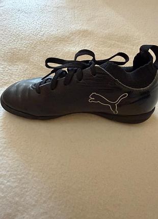 Сороконіжки puma 2